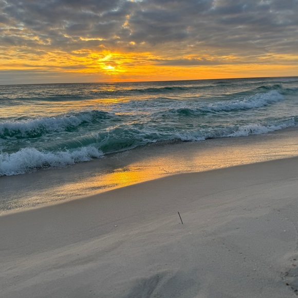 BULK REAL HAND PICKED FLORIDA JINGLE SHELLS SEASHELLS DIY CRAFTING CRAFTS LOT - Picture 5 of 13